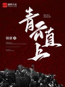 亡灵法师圣光猫